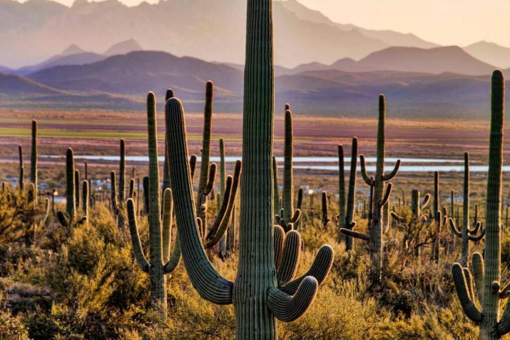 Tucson The Greens! 3Br Apt W/ Pool & Spa Екстериор снимка